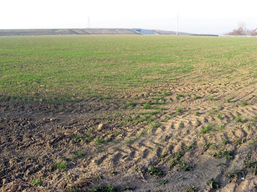 Property photo 4 - 60 Acres Offered in 2 Tracts